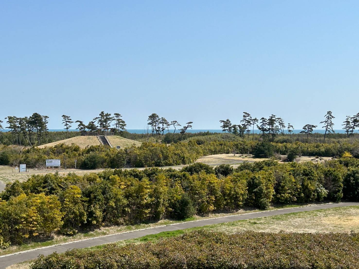 いのちを守る森